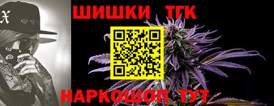 гашик Будённовск