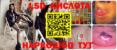 гашик Будённовск