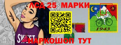 гашик Будённовск