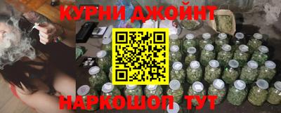 гашик Будённовск