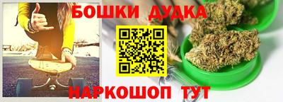 гашик Будённовск