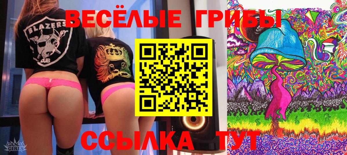 Псилоцибиновые грибы Cubensis  Вход с VPN  Соль-Илецк  Псилоцибиновые грибы GOLDEN TEACHER 